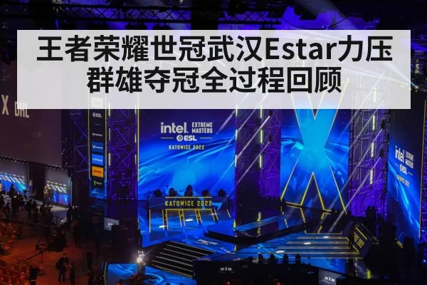 王者荣耀世冠武汉Estar力压群雄夺冠全过程回顾