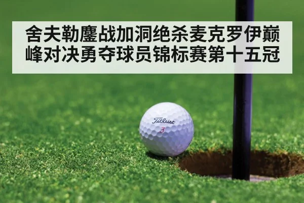 舍夫勒鏖战加洞绝杀麦克罗伊巅峰对决勇夺球员锦标赛第十五冠